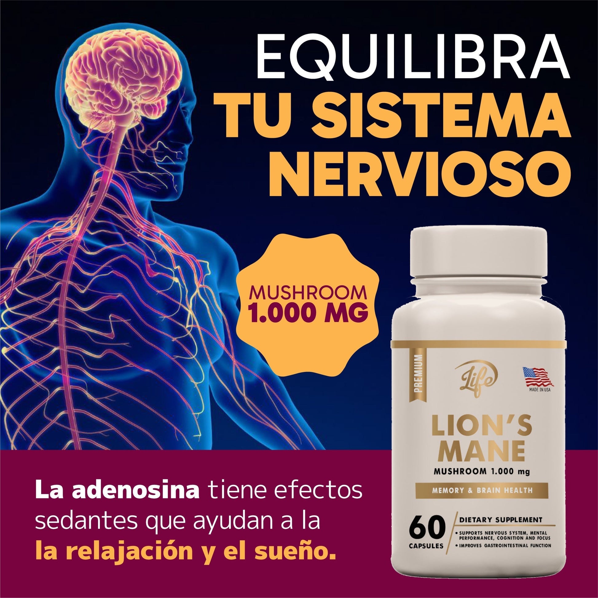 gid://shopify/MediaImage/24663082565726